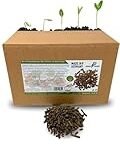 Análisis de los mejores electrodomésticos que utilizan pellet lana: ¡Descubre cuál es el más eficiente para tu hogar!