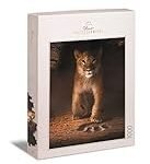 Análisis de electrodomésticos para pisos en alquiler por 300 euros en León capital: ¡Equipa tu hogar con lo mejor!