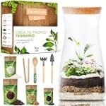 Mini jardines en cristal: la tendencia decorativa que complementa tus electrodomésticos con estilo